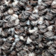 Ковровая плитка Bonkeel Stone Beige
